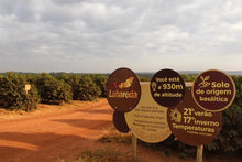 Cargar imagen en el visor de la galería, Aelin Lau - Brasil, Sao Lucas