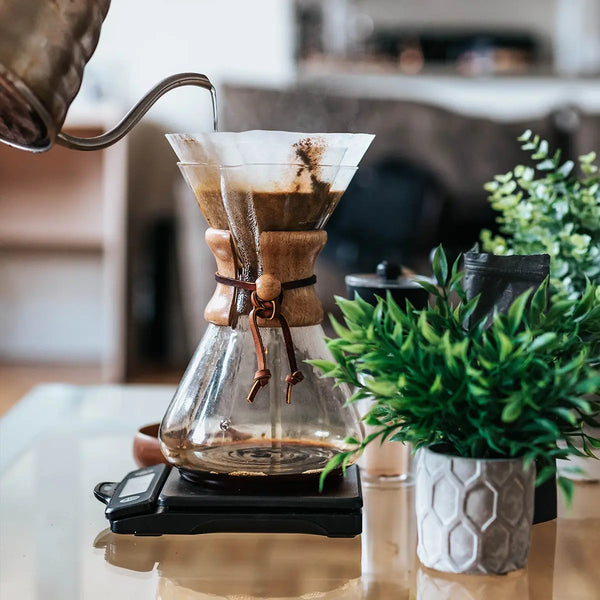 Origin Spotlight: Specialty Coffee in Papua New Guinea