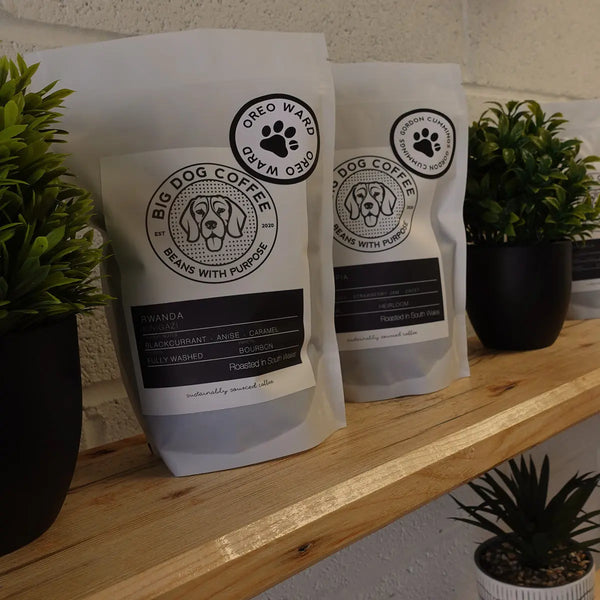 Big Dog Coffee Subscriptions