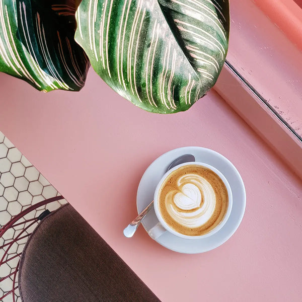 Women in Coffee